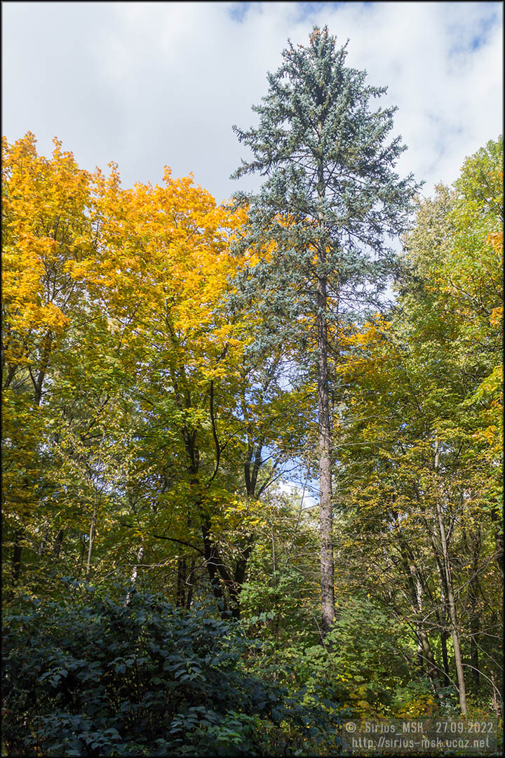 Бирюлёвский дендропарк, 27.09.2022