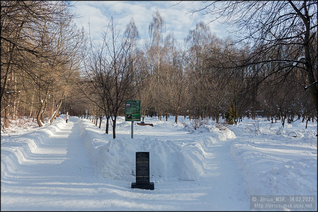 Бирюлёвский дендропарк, 14.02.2022