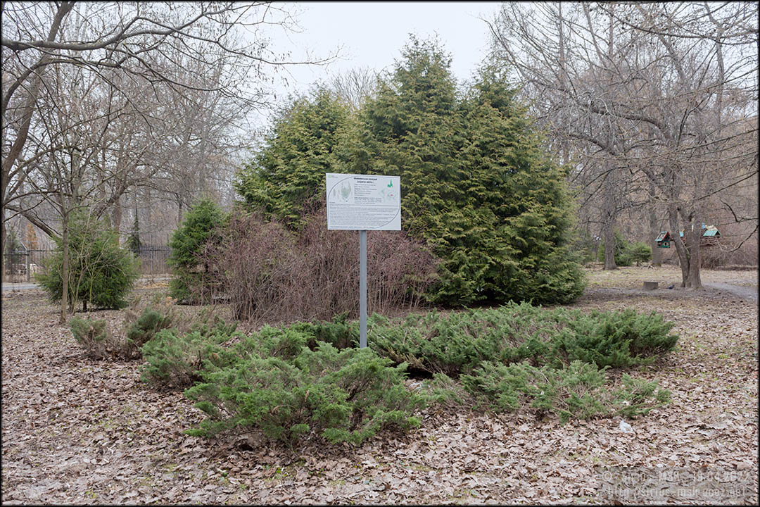© 19.04.2022, Sirius_MSK Бирюлёвский дендропарк, 19.04.2022