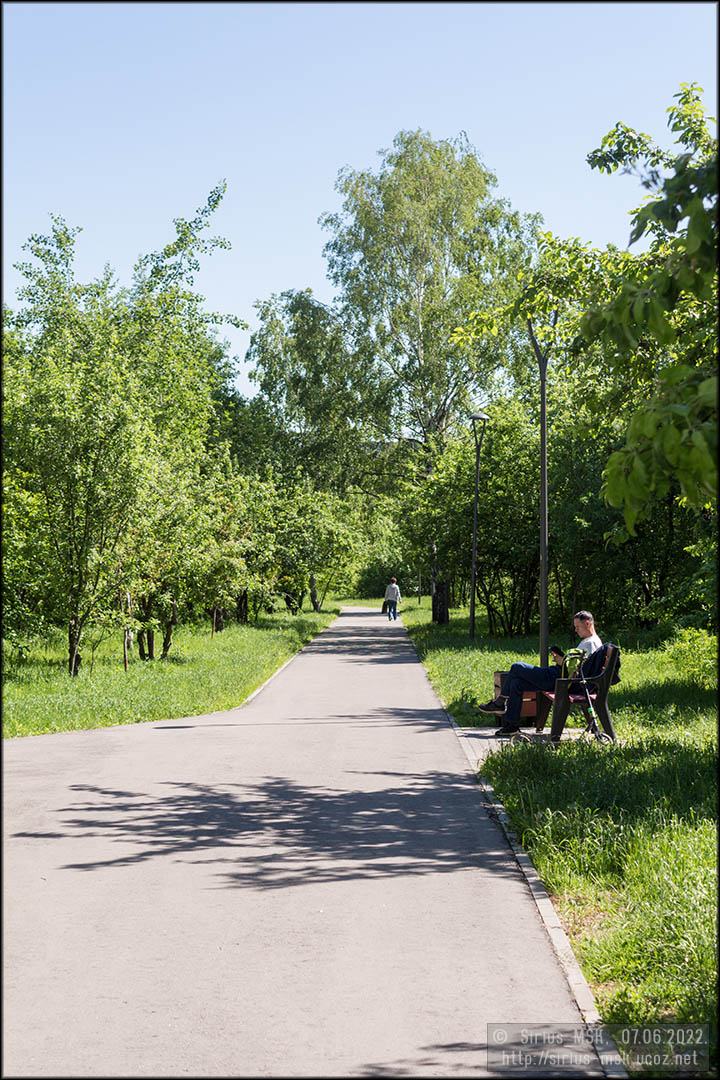 Фруктовые сады Загорья, 07.06.2022