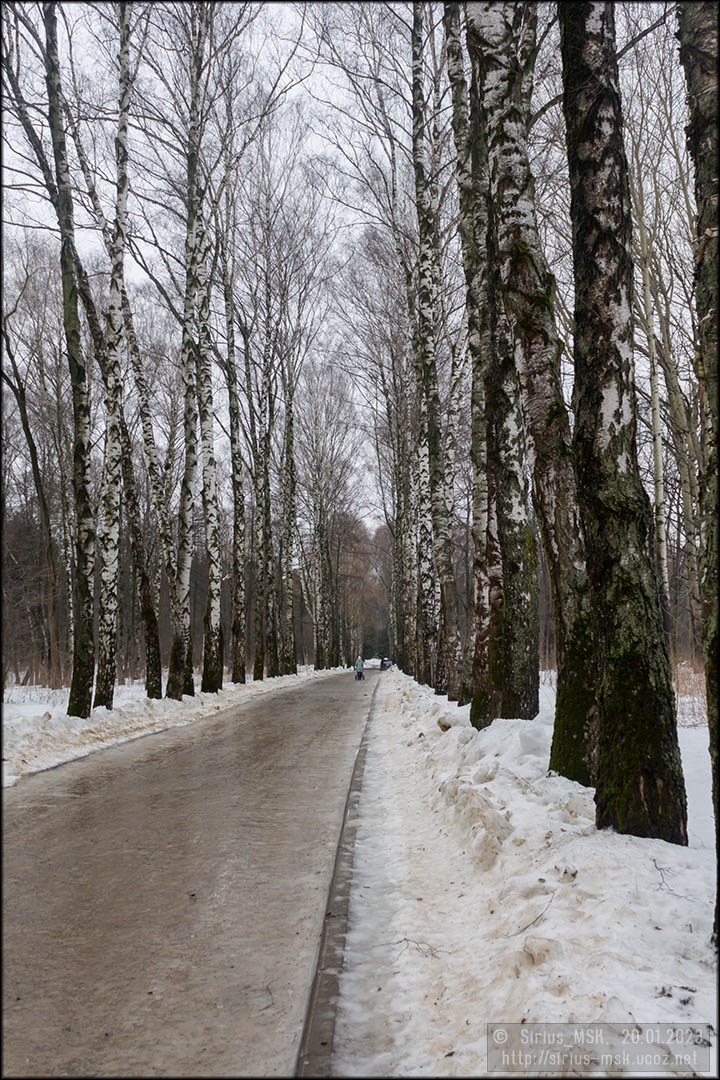 Бирюлёвский дендропарк, 20.01.2023