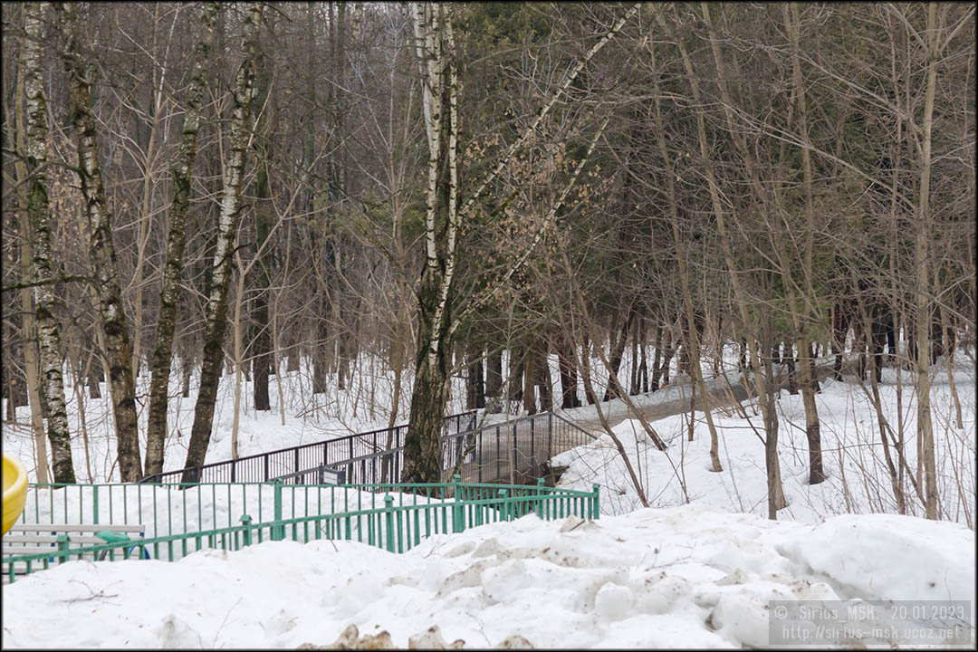 Бирюлёвский дендропарк, 20.01.2023