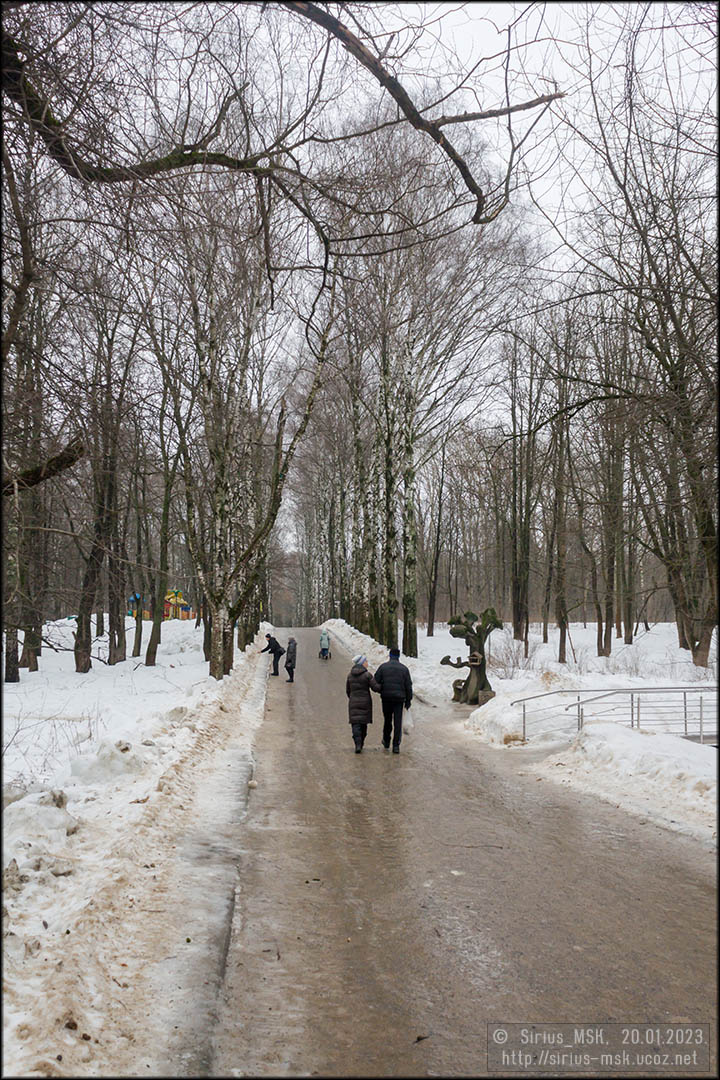 Бирюлёвский дендропарк, 20.01.2023