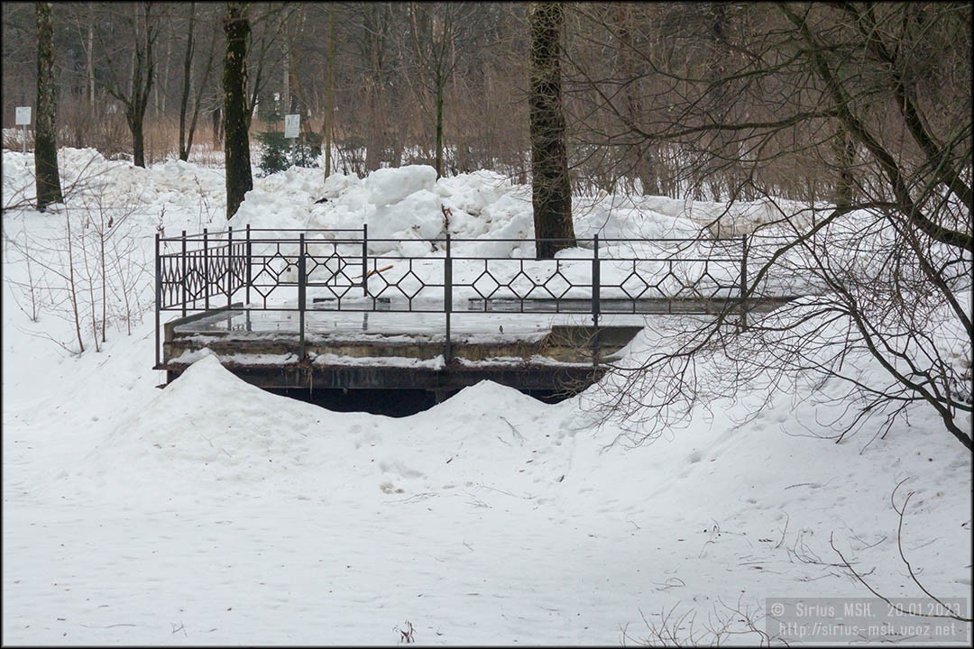 Бирюлёвский дендропарк, 20.01.2023