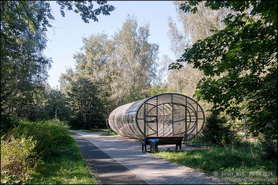 Бирюлёвский дендропарк, 06.09.2024