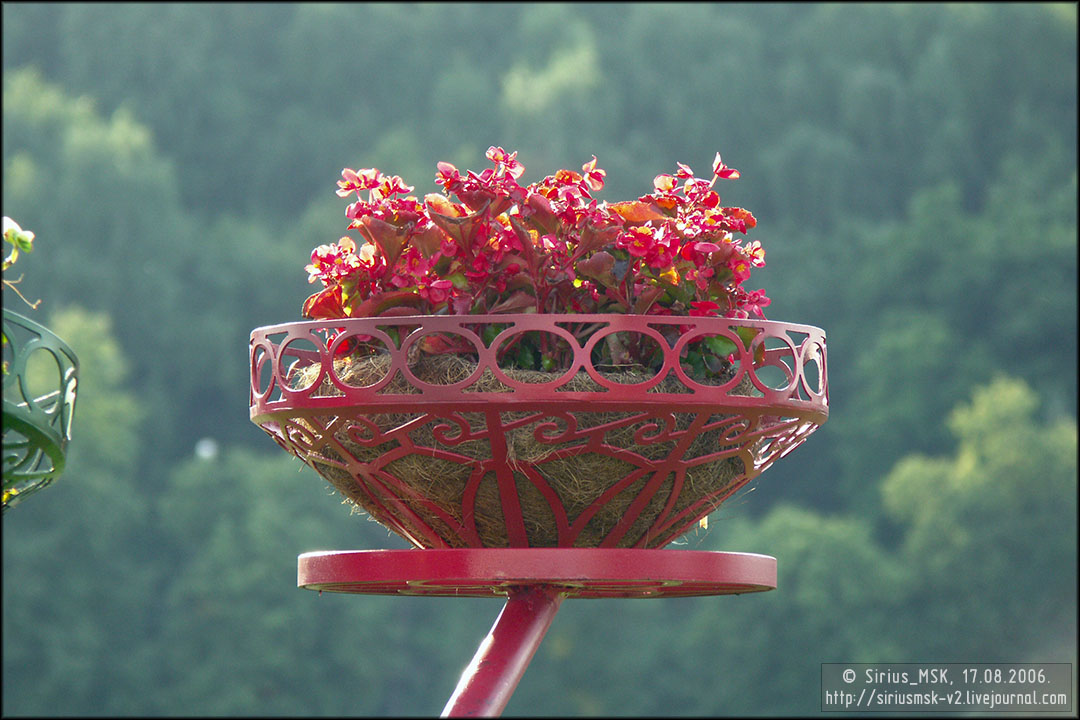 IV МГФЦиЛД «50 Лужникам», 17.08.2006