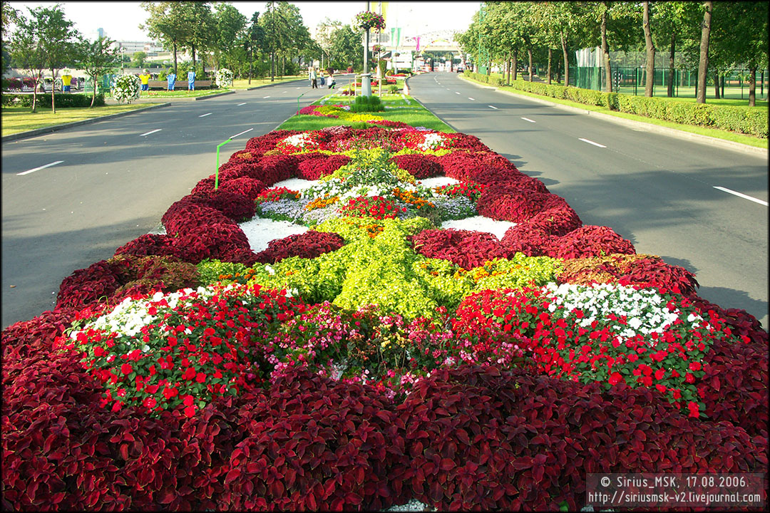 IV МГФЦиЛД «50 Лужникам»