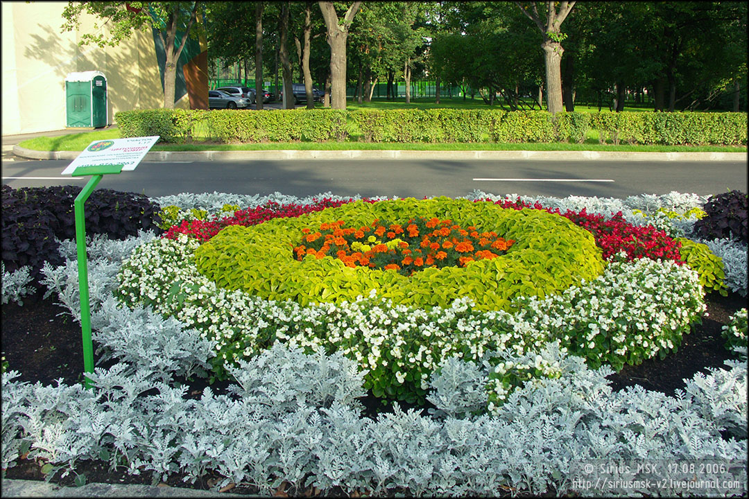 IV МГФЦиЛД «50 Лужникам», 17.08.2006