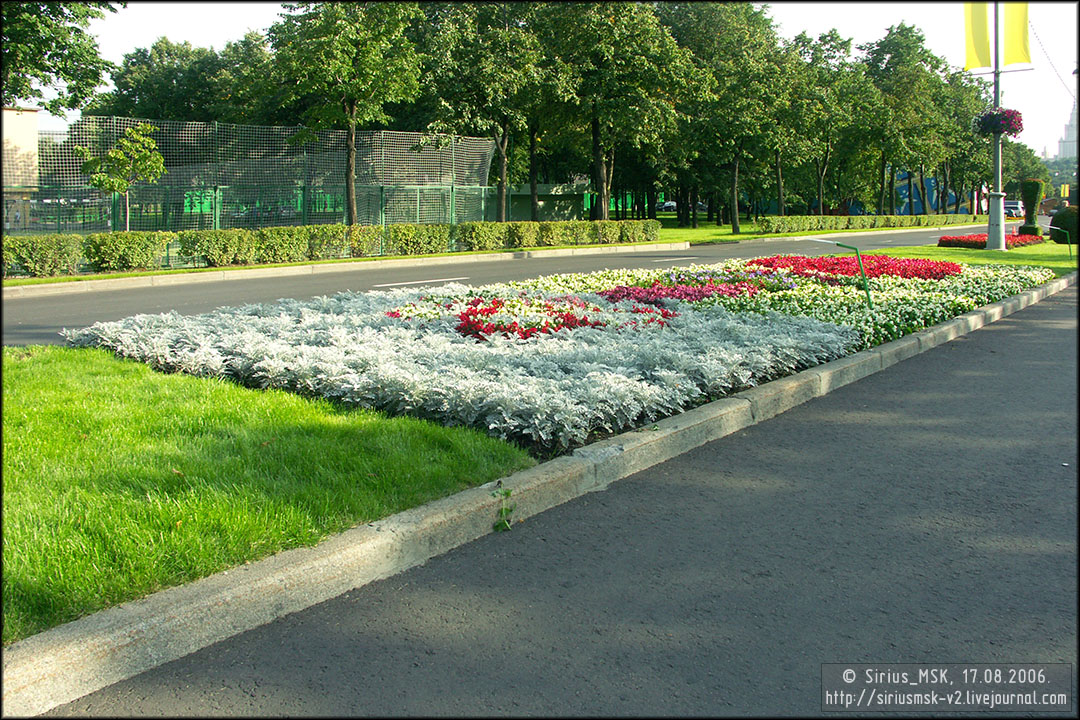 IV МГФЦиЛД «50 Лужникам», 17.08.2006