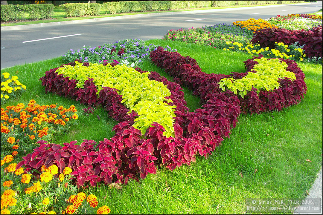 IV МГФЦиЛД «50 Лужникам», 17.08.2006