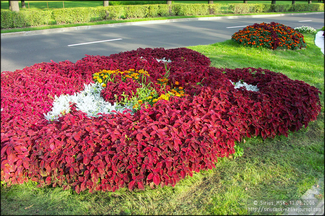 IV МГФЦиЛД «50 Лужникам», 17.08.2006