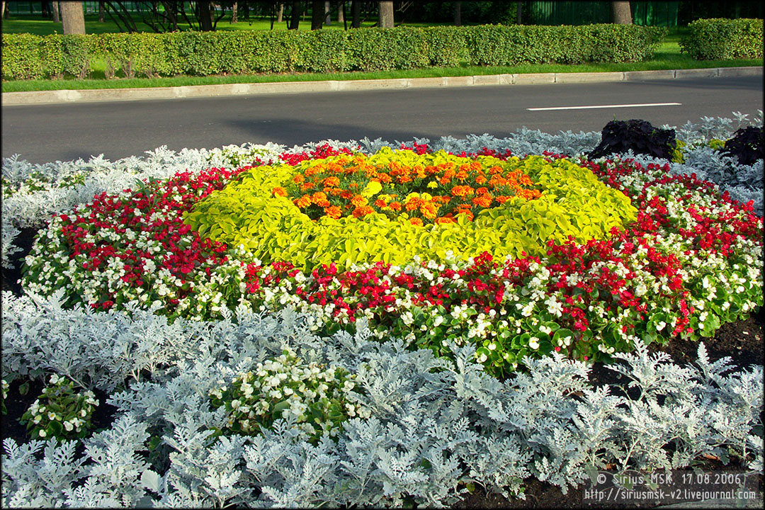 IV МГФЦиЛД «50 Лужникам», 17.08.2006