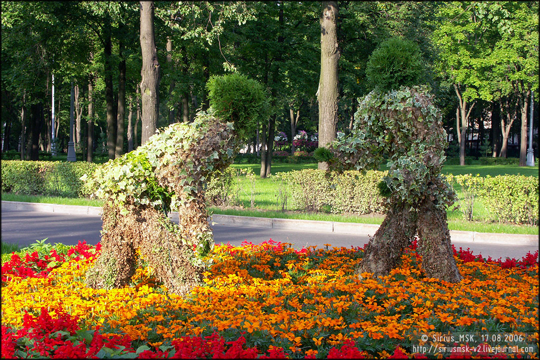 IV МГФЦиЛД «50 Лужникам»