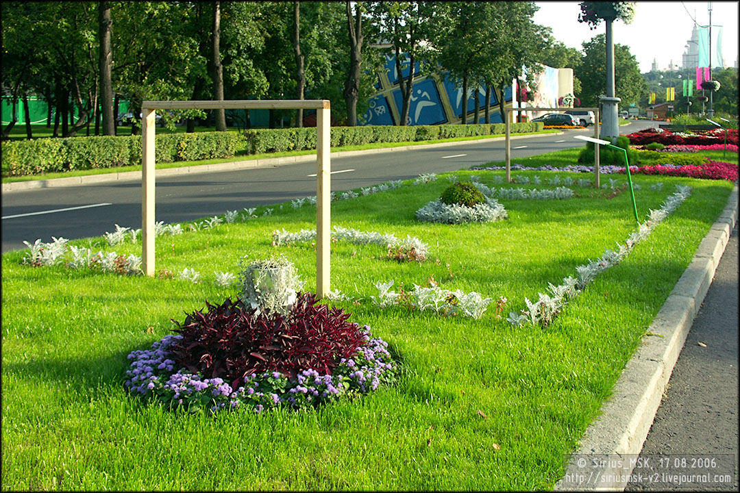 IV МГФЦиЛД «50 Лужникам», 17.08.2006