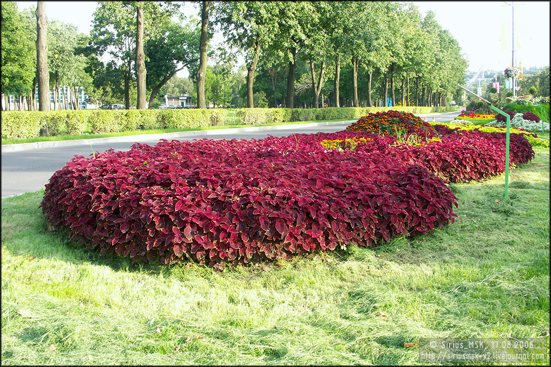 IV МГФЦиЛД «50 Лужникам», 17.08.2006