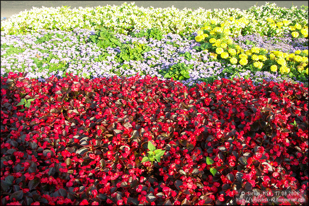 IV МГФЦиЛД «50 Лужникам», 17.08.2006