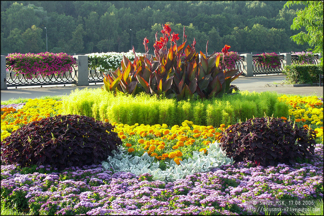 IV МГФЦиЛД «50 Лужникам», 17.08.2006