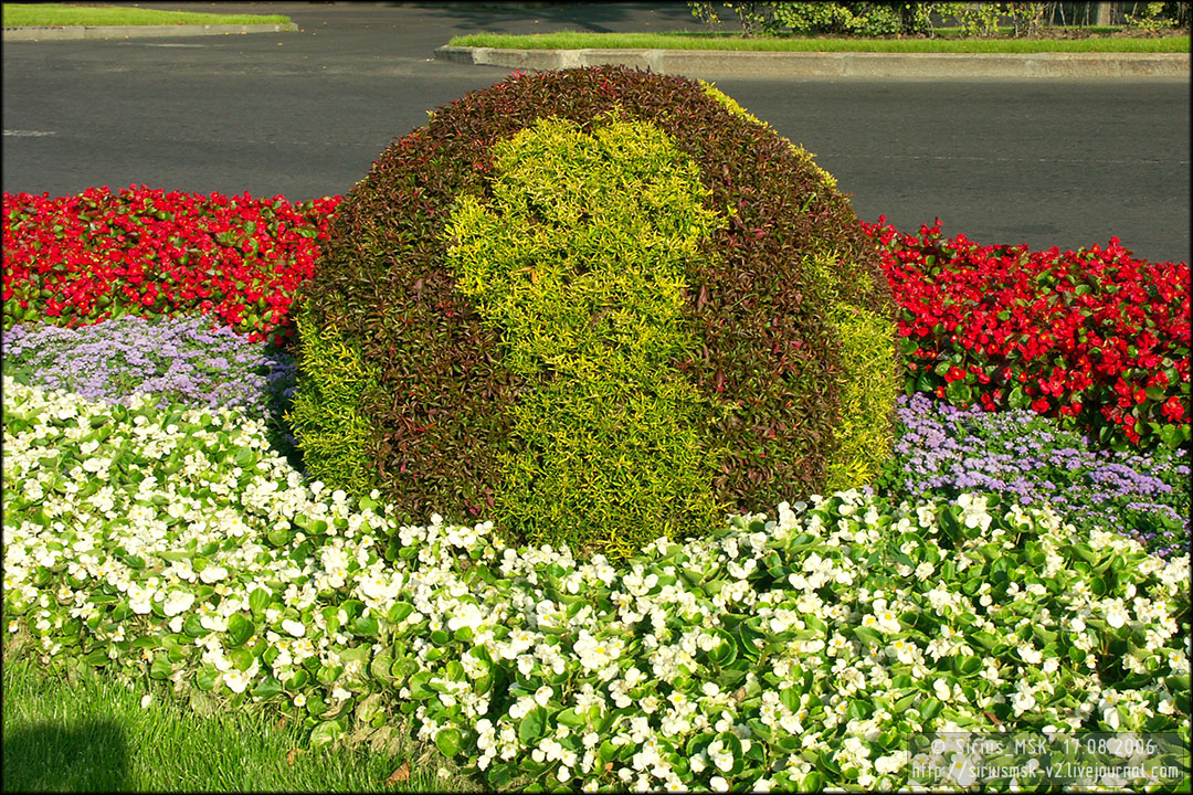 IV МГФЦиЛД «50 Лужникам», 17.08.2006