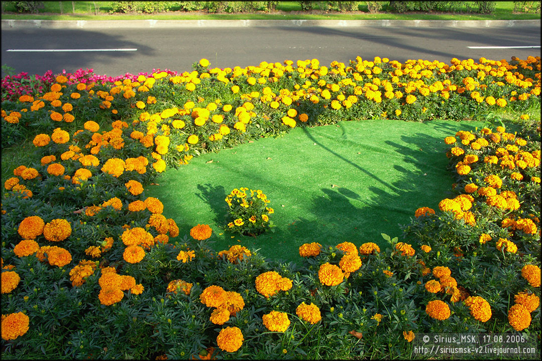 IV МГФЦиЛД «50 Лужникам», 17.08.2006