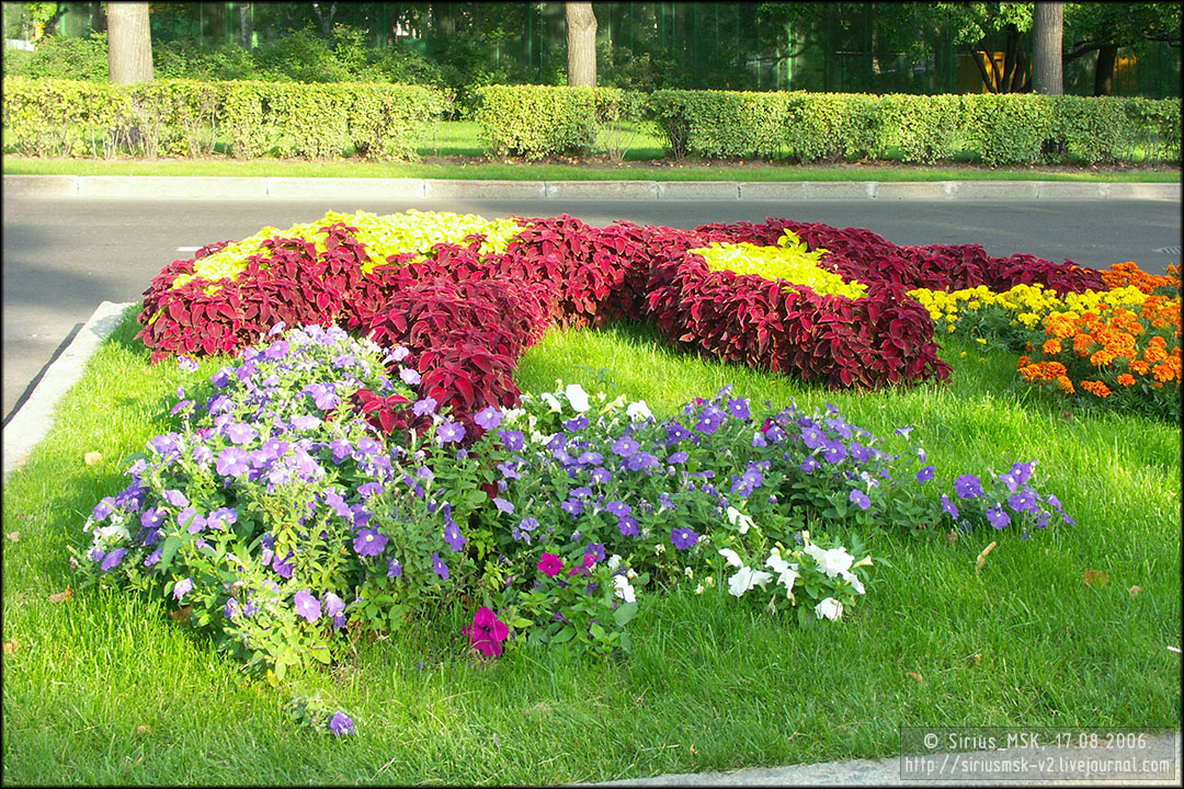 IV МГФЦиЛД «50 Лужникам», 17.08.2006