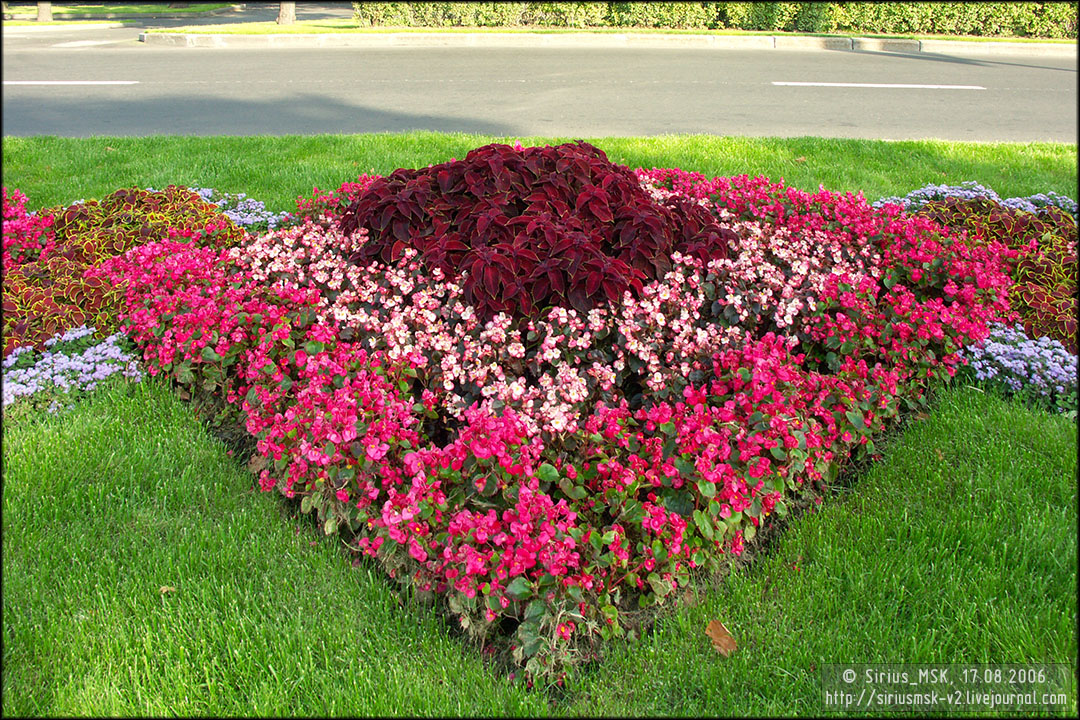 IV МГФЦиЛД «50 Лужникам», 17.08.2006