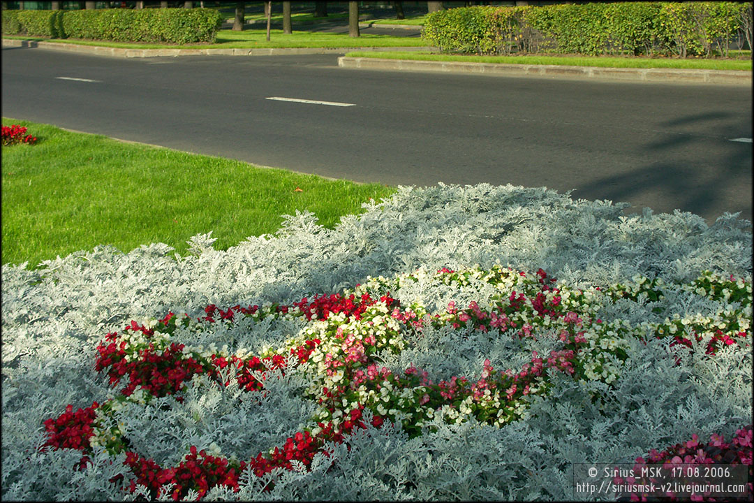 IV МГФЦиЛД «50 Лужникам», 17.08.2006