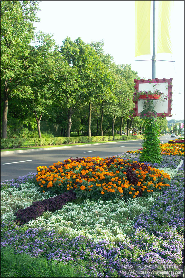 IV МГФЦиЛД «50 Лужникам», 17.08.2006