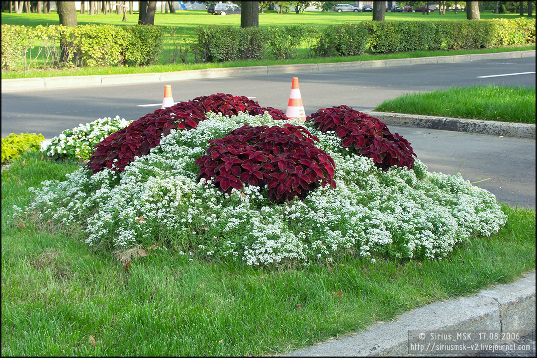 IV МГФЦиЛД «50 Лужникам», 17.08.2006