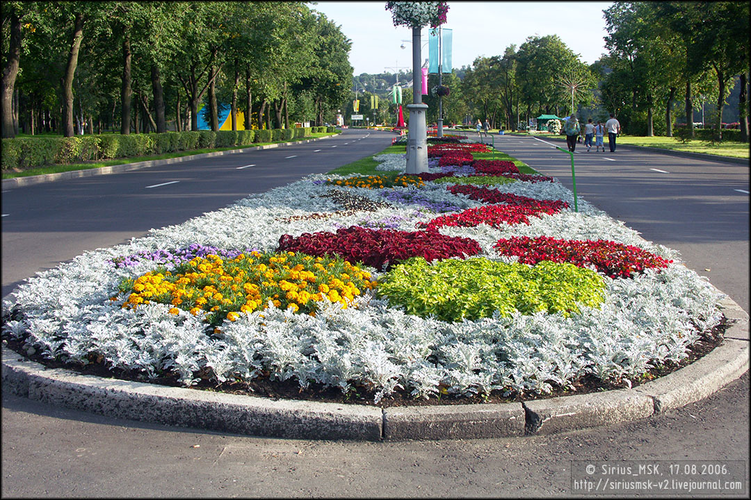 IV МГФЦиЛД «50 Лужникам», 17.08.2006