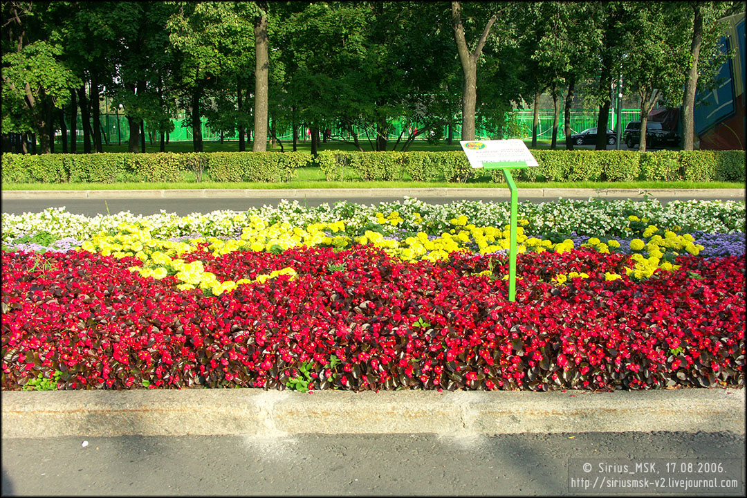 IV МГФЦиЛД «50 Лужникам», 17.08.2006