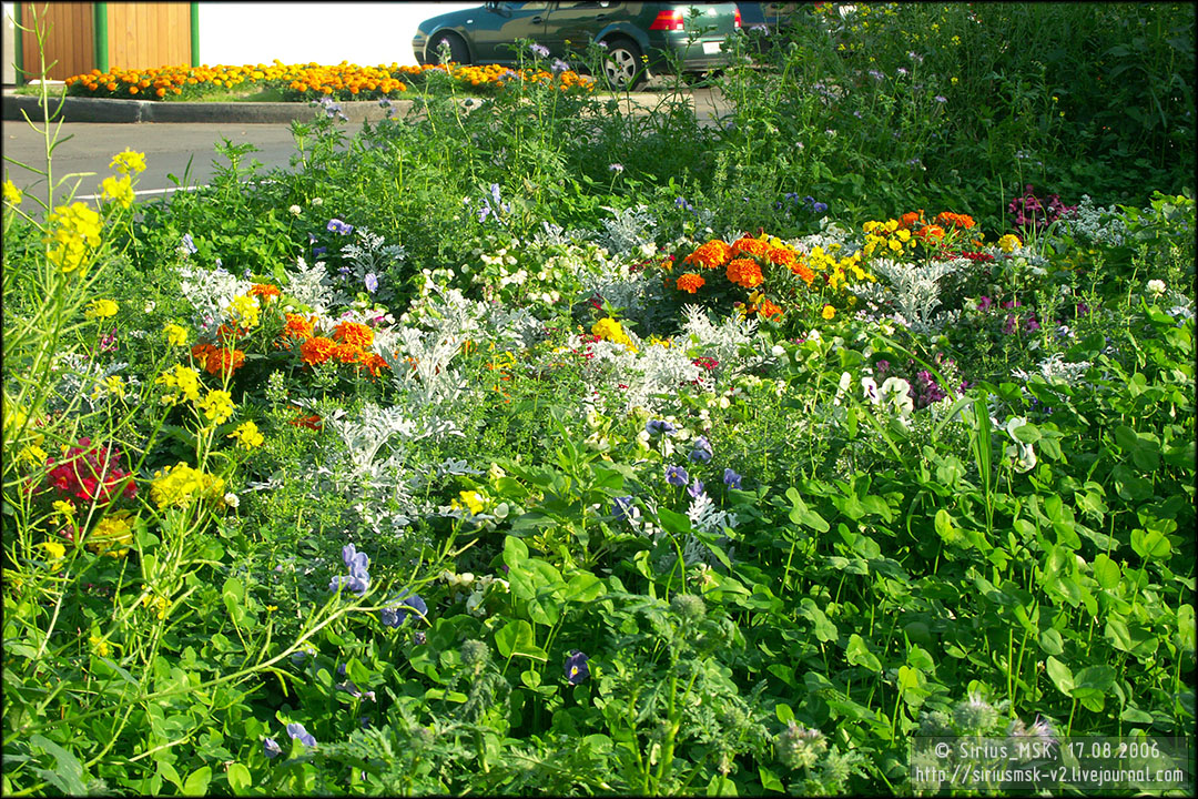 IV МГФЦиЛД «50 Лужникам», 17.08.2006