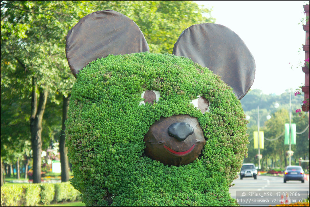 IV МГФЦиЛД «50 Лужникам», 17.08.2006