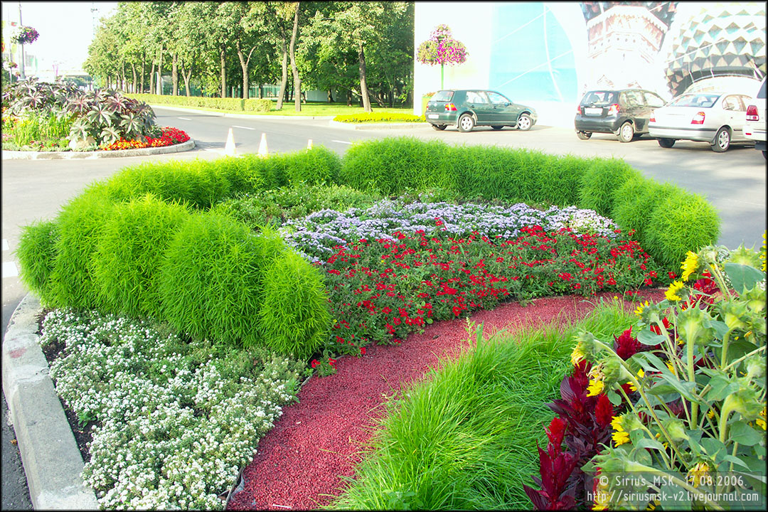 IV МГФЦиЛД «50 Лужникам», 17.08.2006