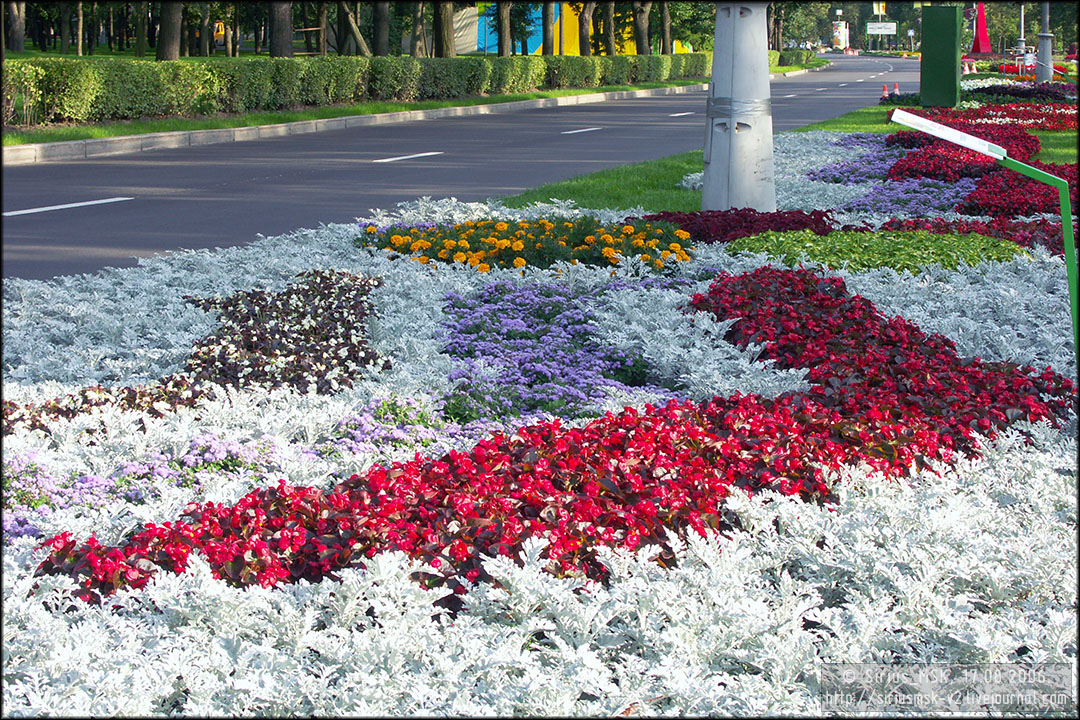 IV МГФЦиЛД «50 Лужникам», 17.08.2006