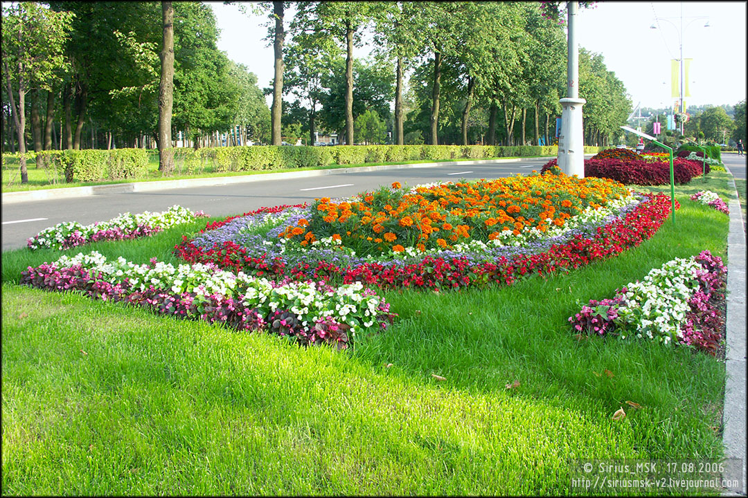 IV МГФЦиЛД «50 Лужникам», 17.08.2006