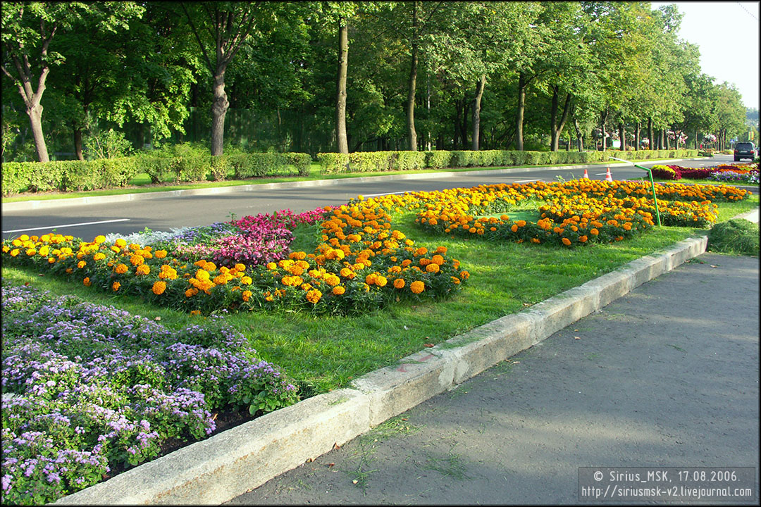 IV МГФЦиЛД «50 Лужникам», 17.08.2006