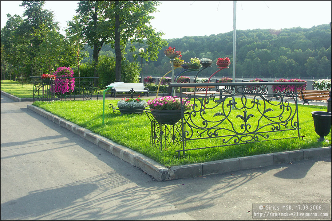 IV МГФЦиЛД «50 Лужникам», 17.08.2006