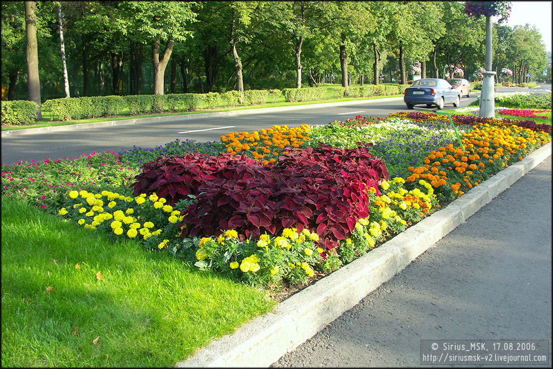 IV МГФЦиЛД «50 Лужникам», 17.08.2006