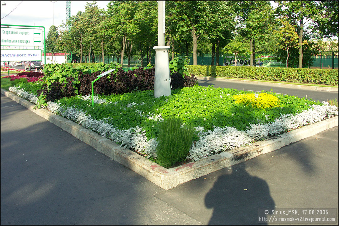 IV МГФЦиЛД «50 Лужникам», 17.08.2006