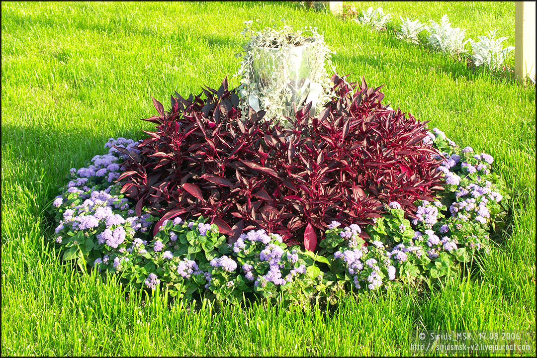 IV МГФЦиЛД «50 Лужникам», 17.08.2006