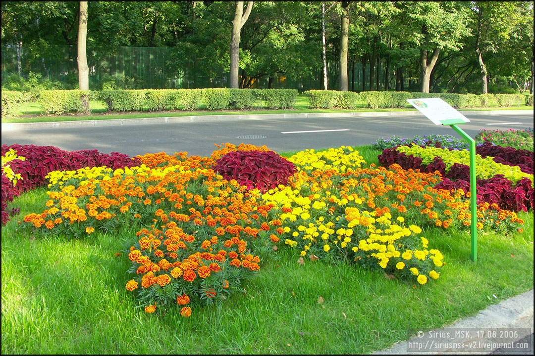 IV МГФЦиЛД «50 Лужникам», 17.08.2006