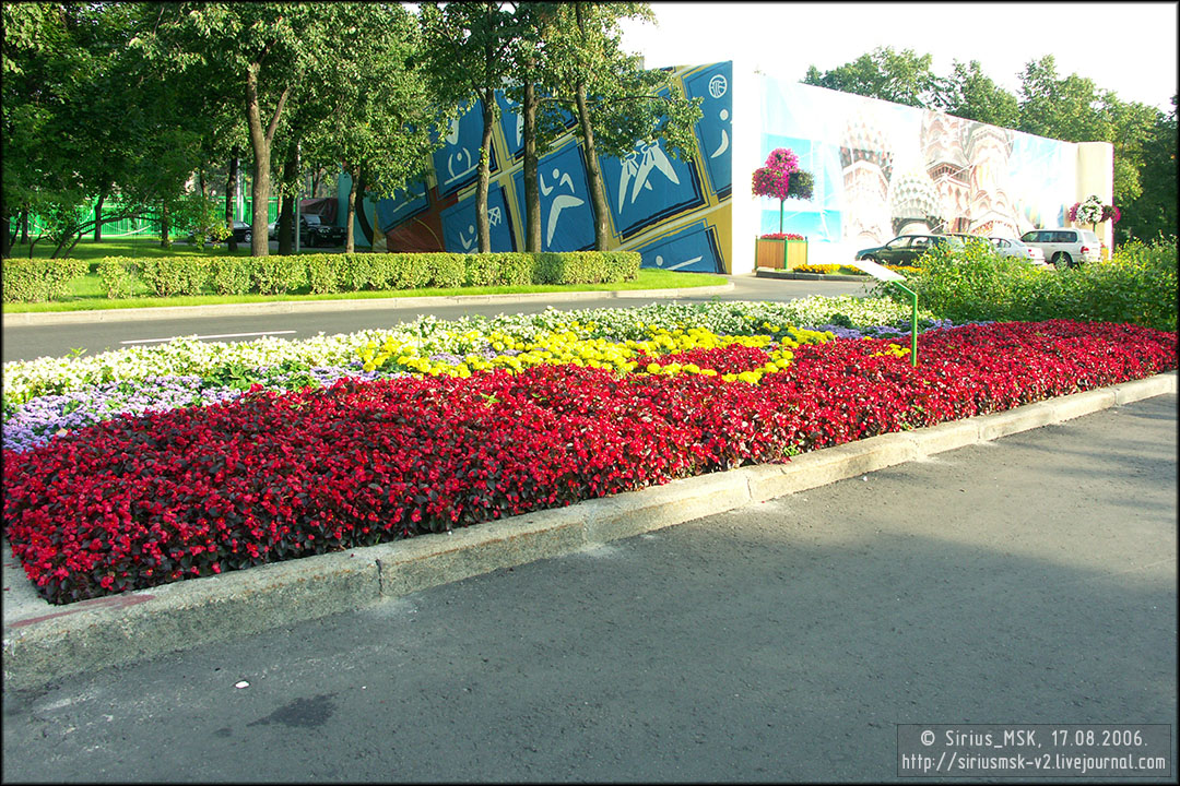 IV МГФЦиЛД «50 Лужникам», 17.08.2006