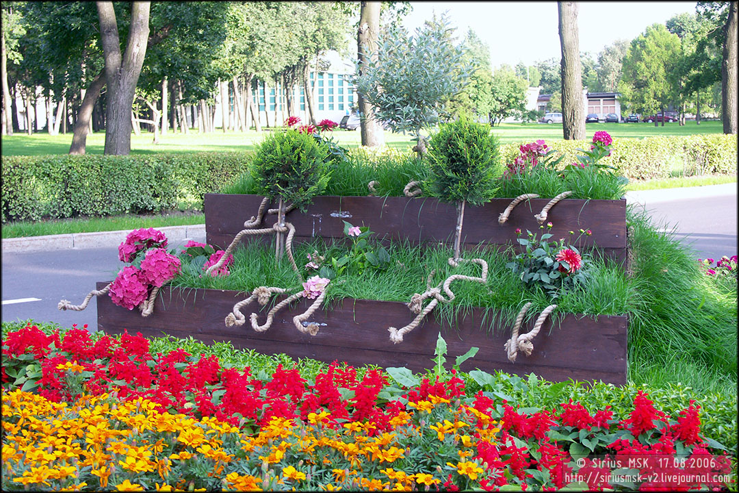 IV МГФЦиЛД «50 Лужникам», 17.08.2006