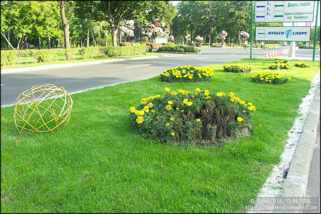 IV МГФЦиЛД «50 Лужникам», 17.08.2006