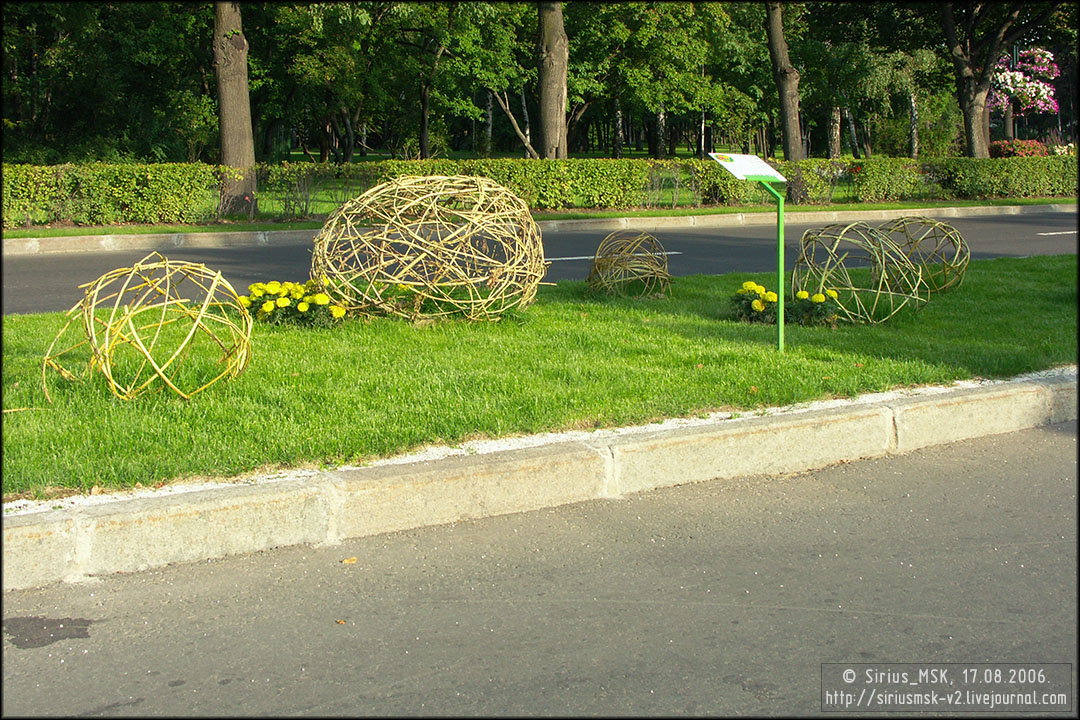 IV МГФЦиЛД «50 Лужникам», 17.08.2006