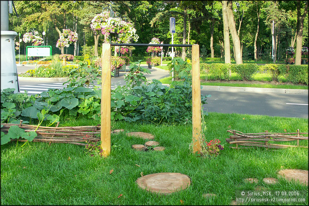 IV МГФЦиЛД «50 Лужникам», 17.08.2006