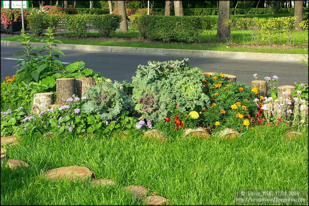 IV МГФЦиЛД «50 Лужникам», 17.08.2006