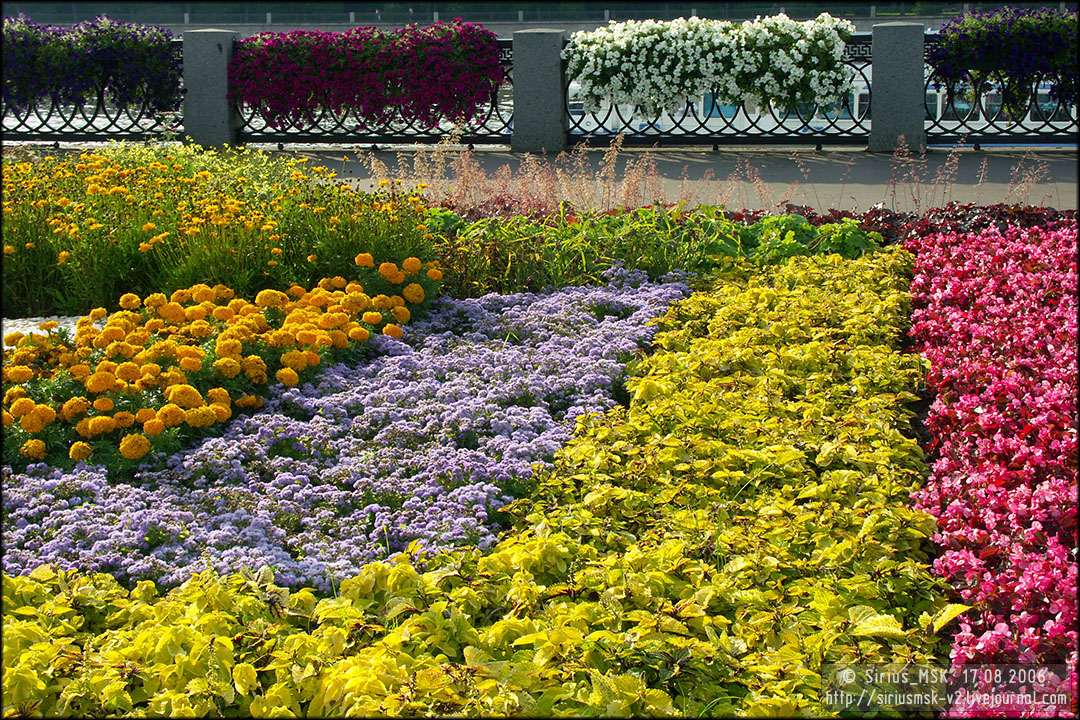 IV МГФЦиЛД «50 Лужникам», 17.08.2006