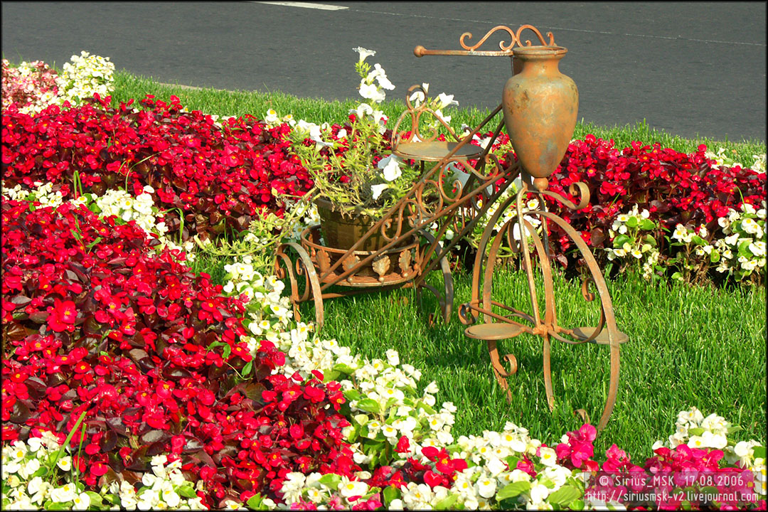 IV МГФЦиЛД «50 Лужникам», 17.08.2006