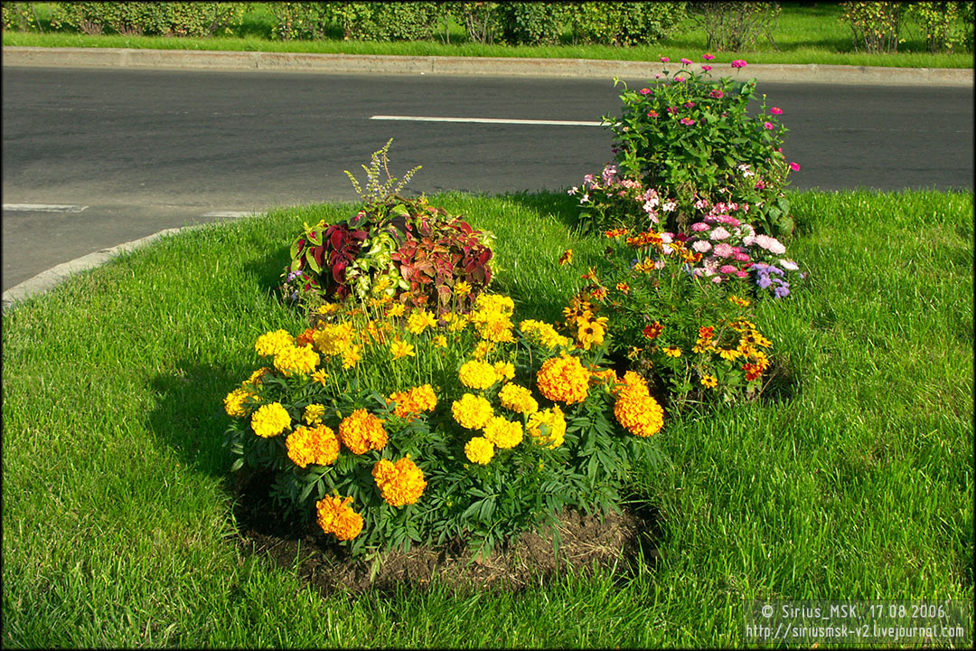 IV МГФЦиЛД «50 Лужникам», 17.08.2006